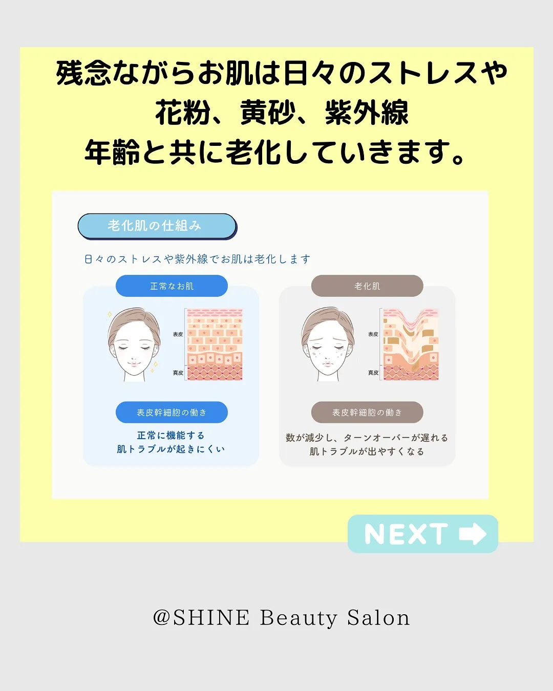 🧴【本気のシミ・毛穴ケア✨】