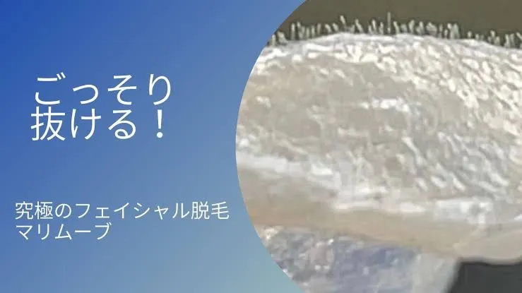 新メニュー追加！！