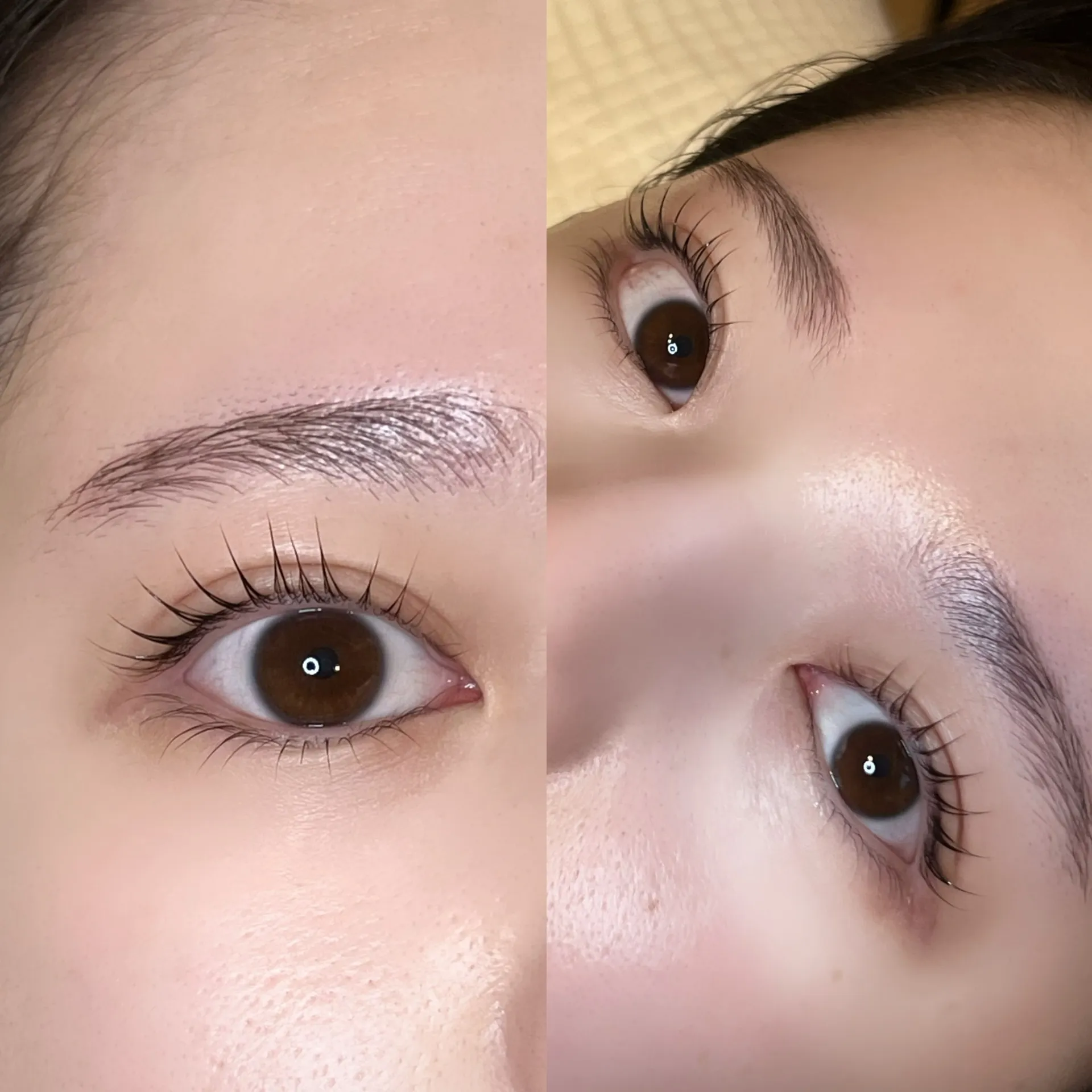 冬にかけてのまつげケアポイント